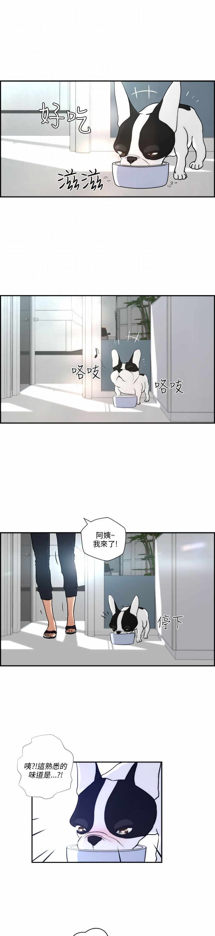 第3章：流浪