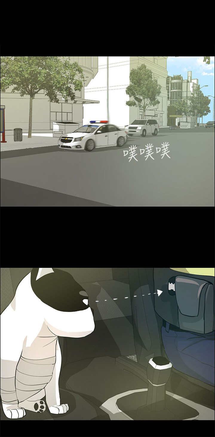 第30章：恢复人形