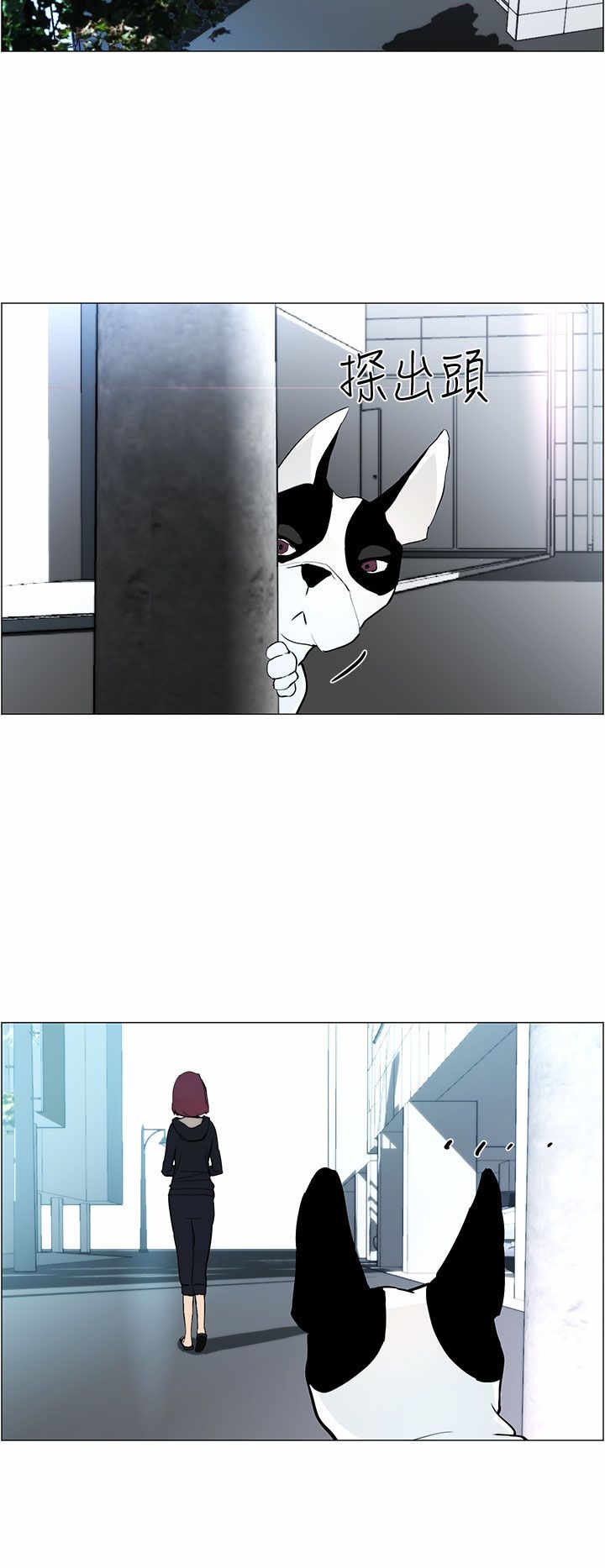 第4章：跟随