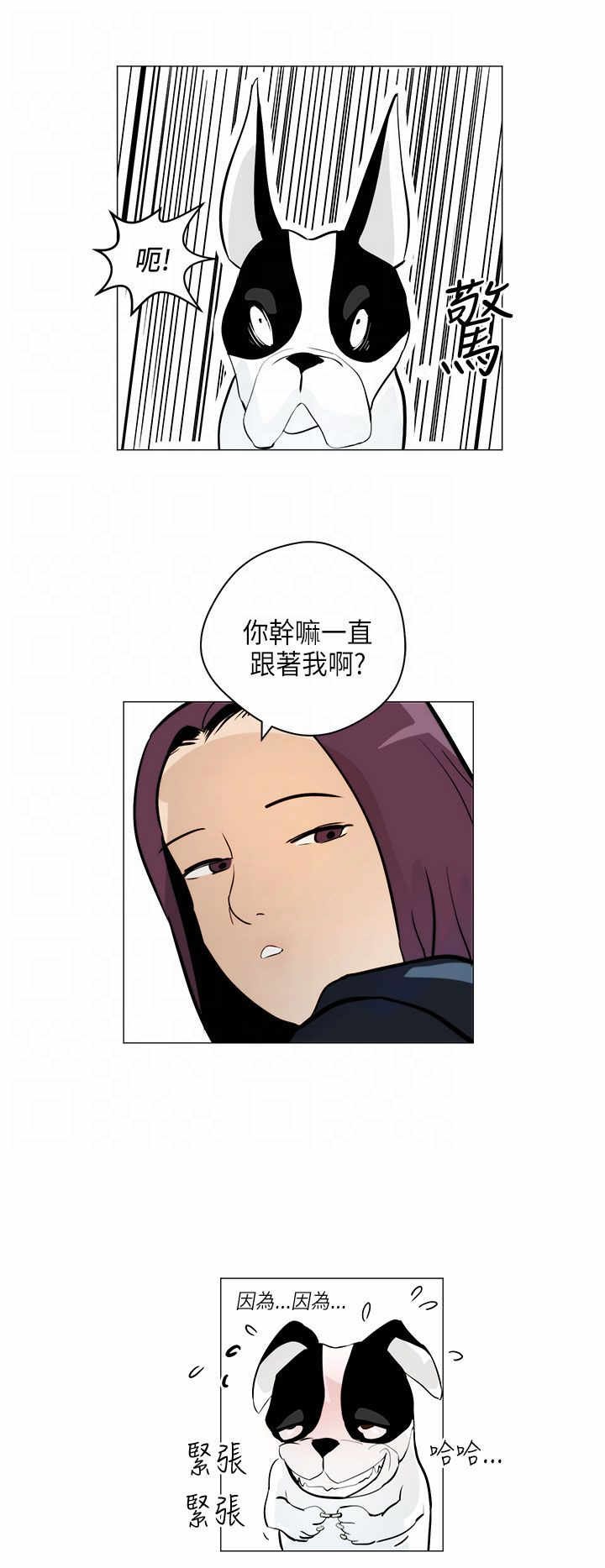 第4章：跟随
