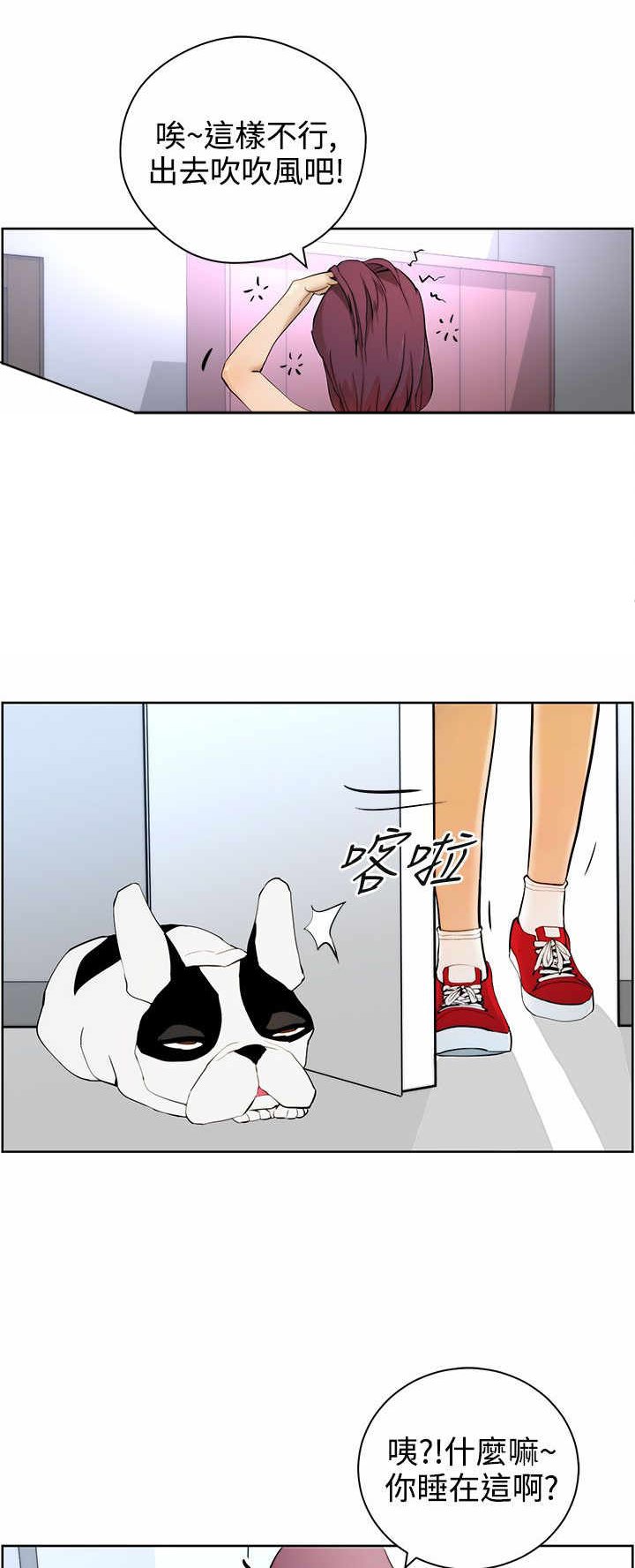 第7章：遛狗