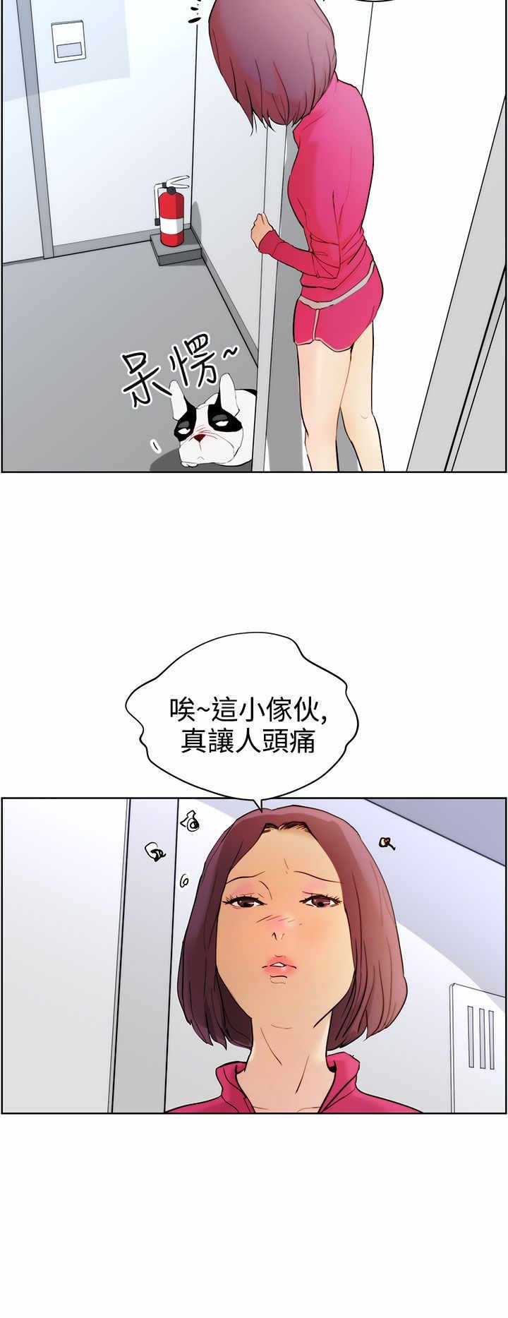 第7章：遛狗