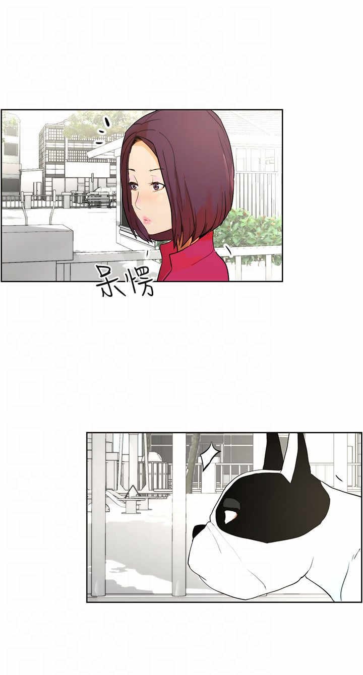 第7章：遛狗