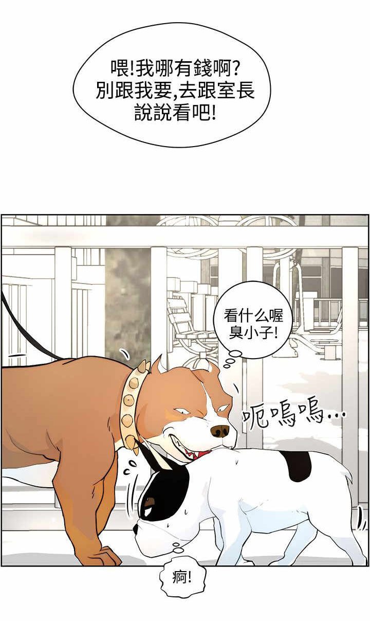第7章：遛狗