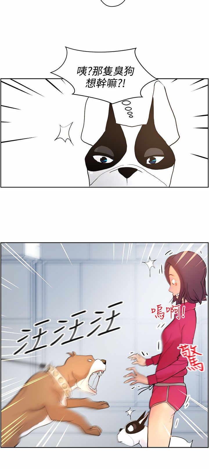 第7章：遛狗