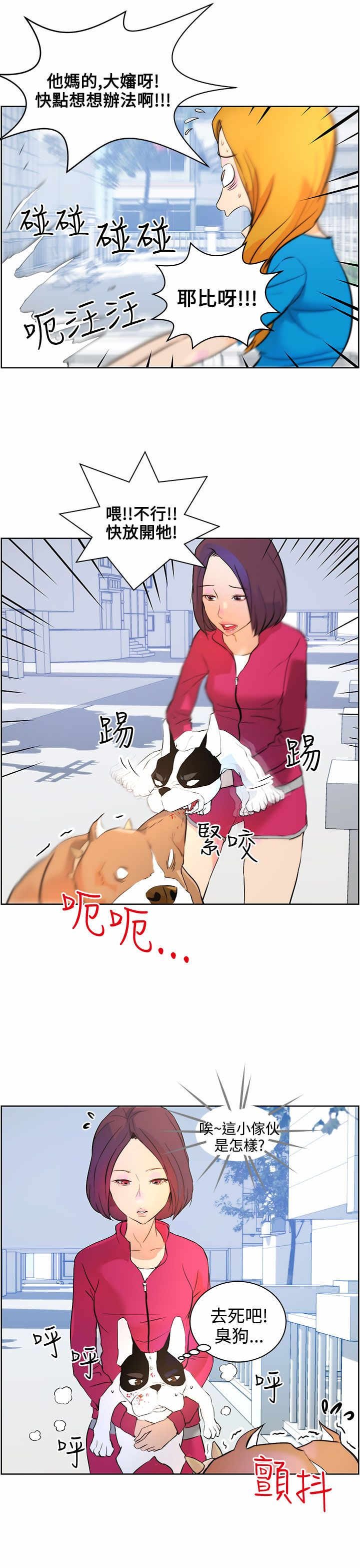第8章：护主有功