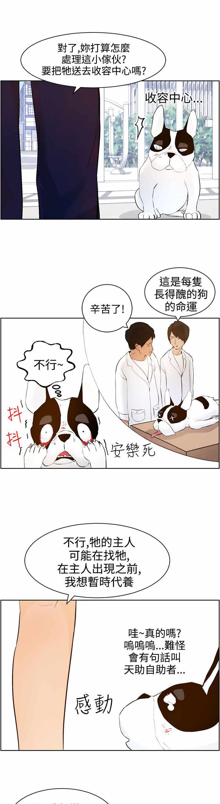 第8章：护主有功