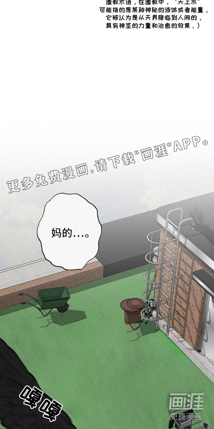 第10章：观众