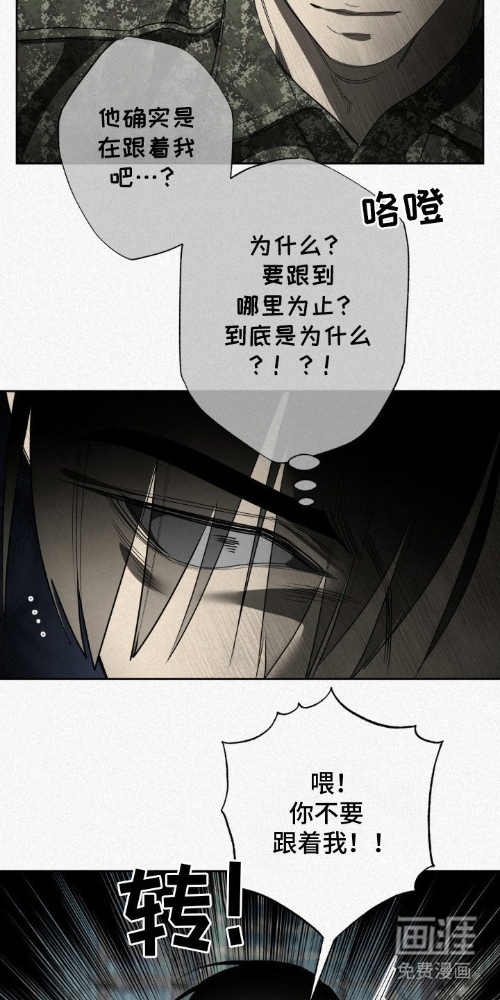 第12章：爱恨交加（完结）