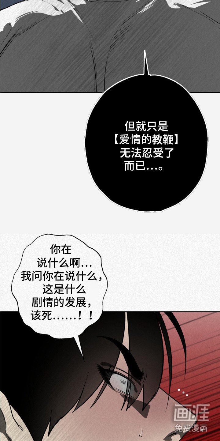 第4章：奇怪的发展