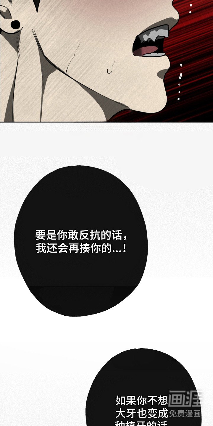 第4章：奇怪的发展