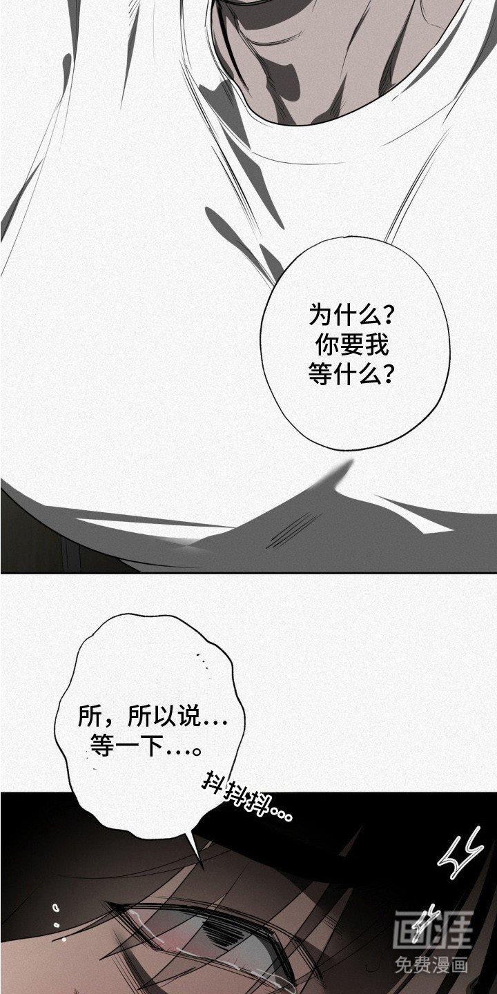 第4章：奇怪的发展