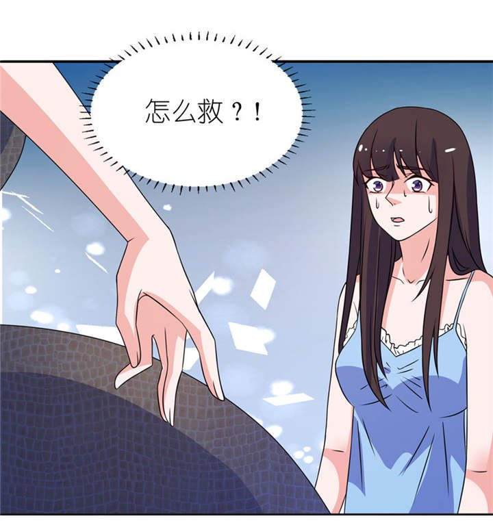 第11章：这夜色好美