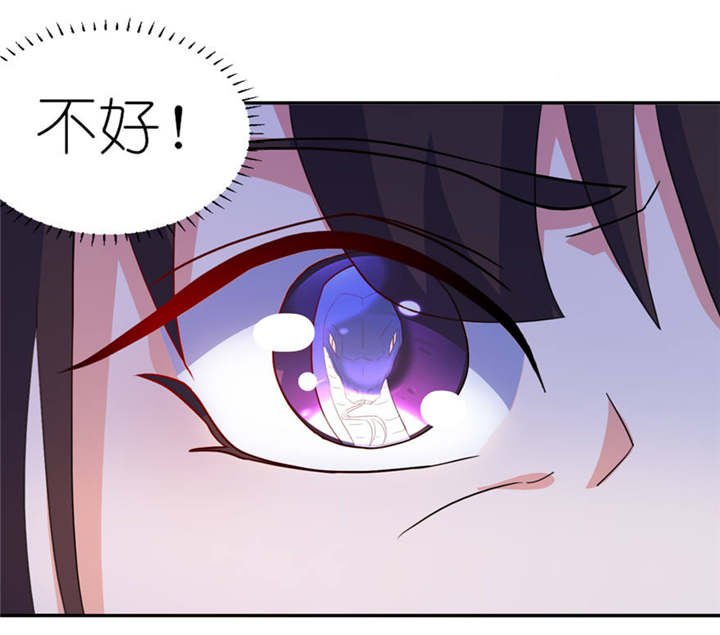 第11章：这夜色好美