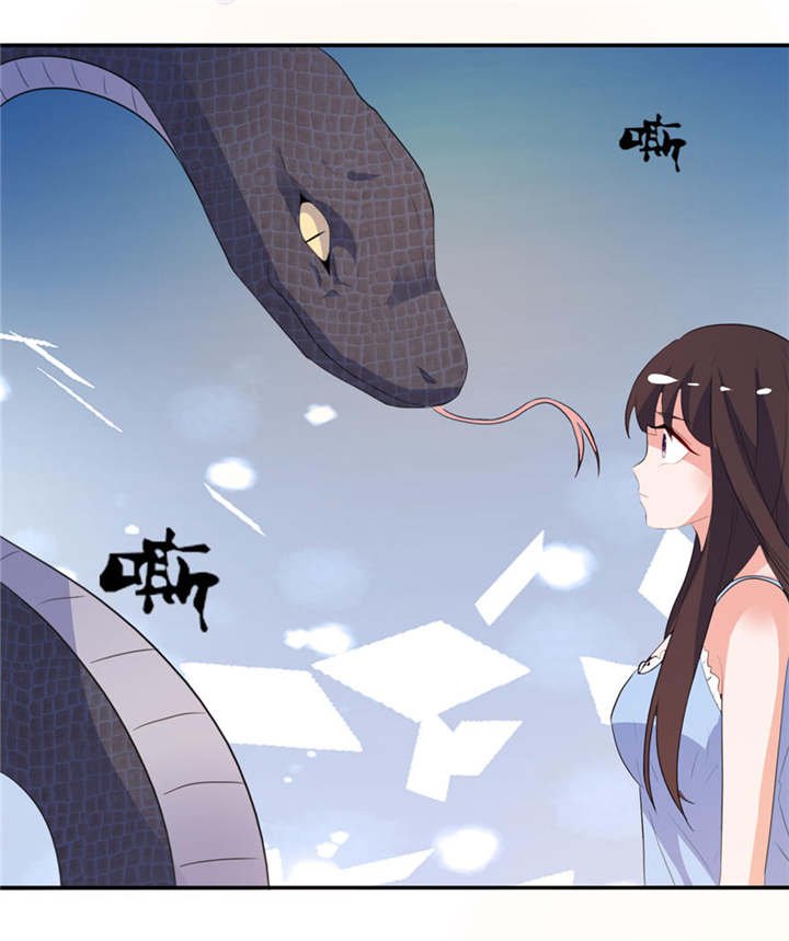 第11章：这夜色好美