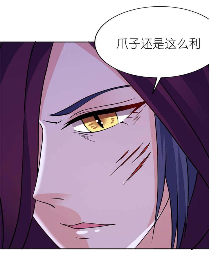 第15章：神秘来客