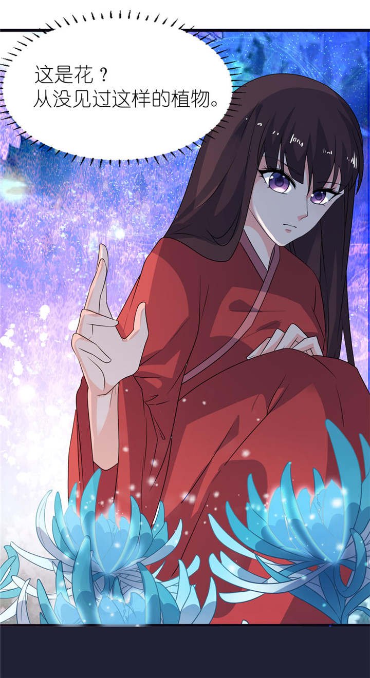 第24章：前世今生