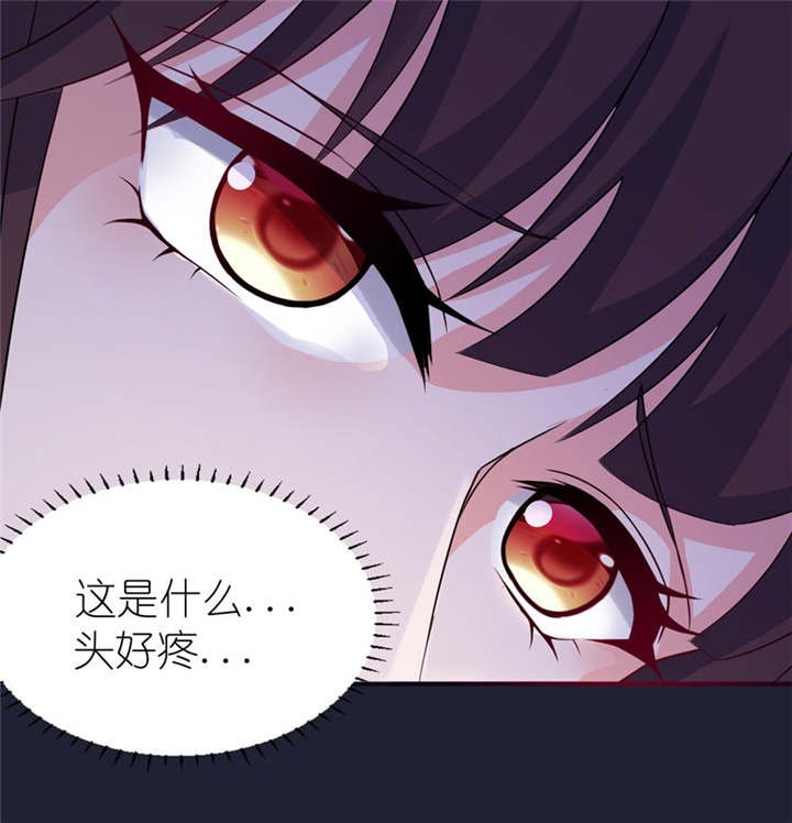 第24章：前世今生