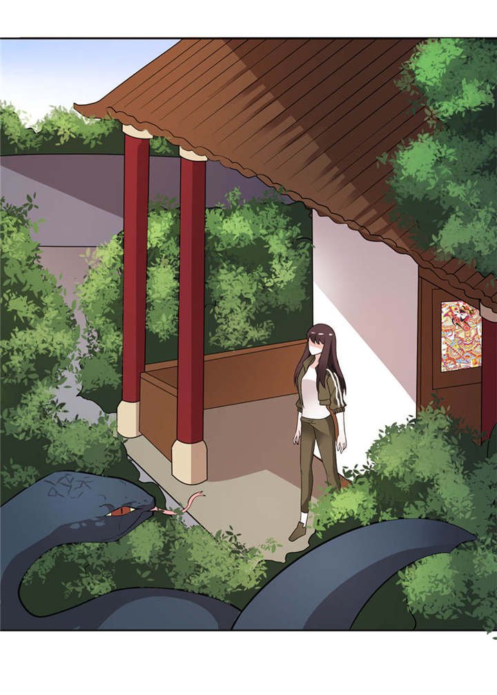 第7章：宿命