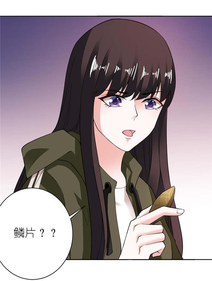 第7章：宿命