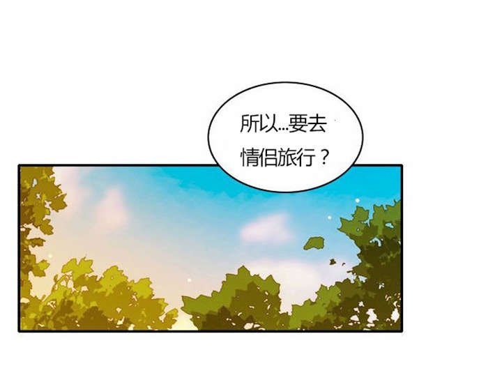 第29章：成功实施
