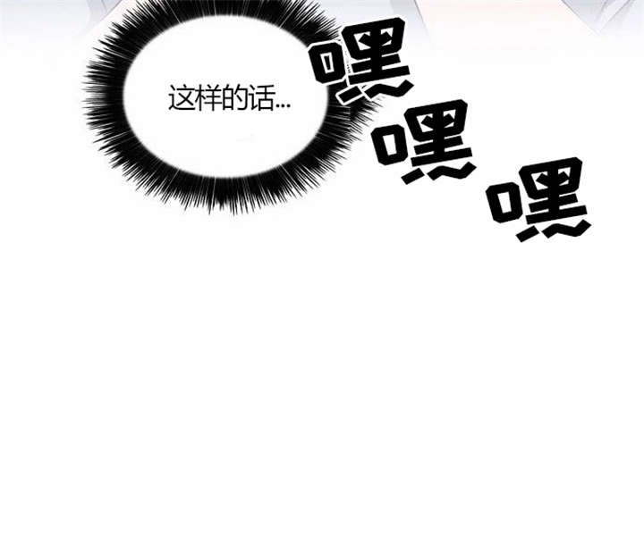 第29章：成功实施