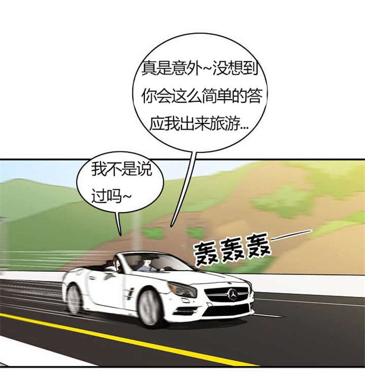 第29章：成功实施