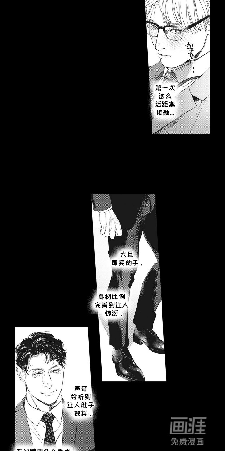 第11章：一见钟情