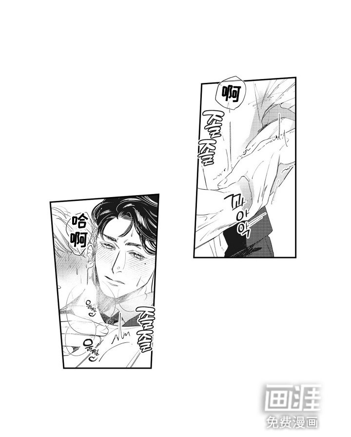第5章：奖励