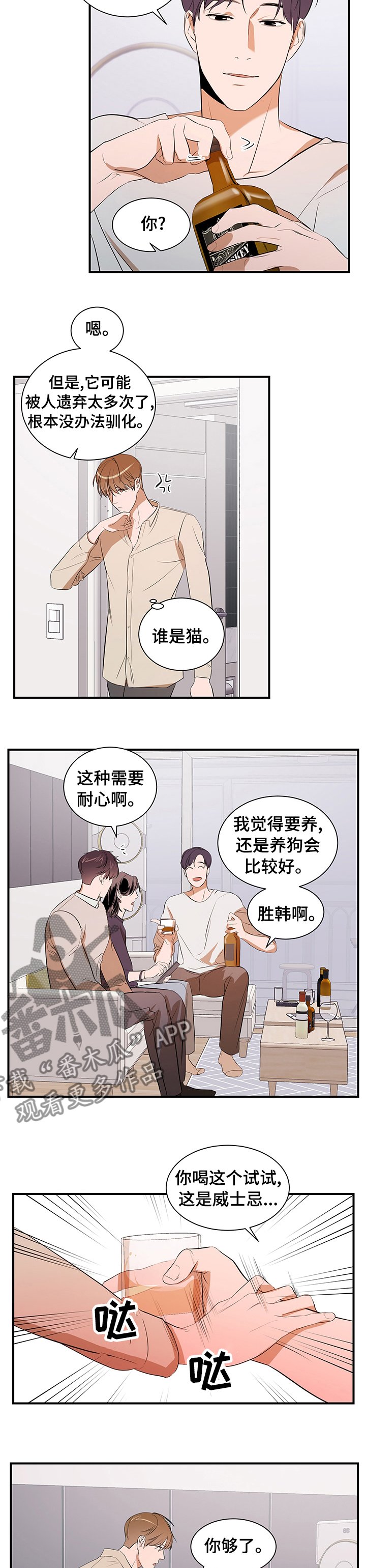 第57章：一只猫