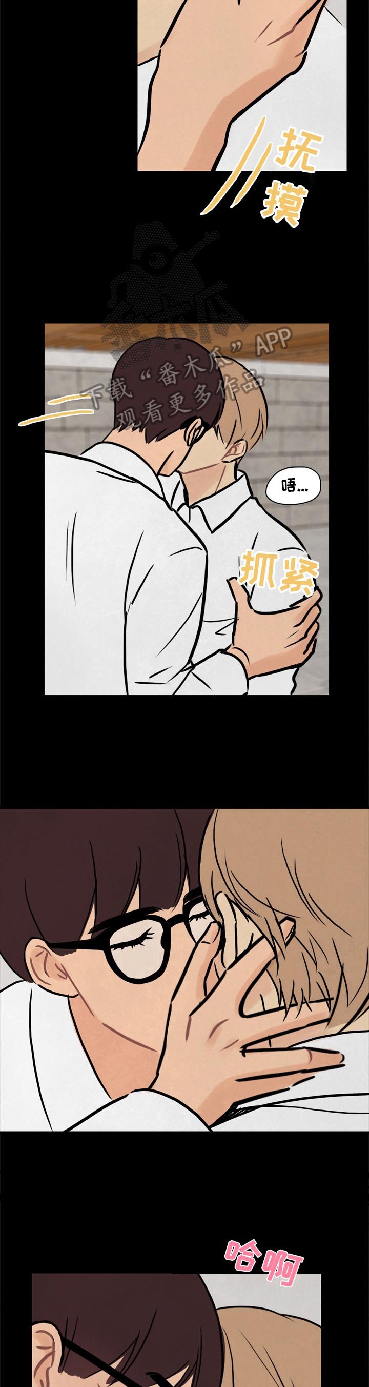 第16章：耀眼