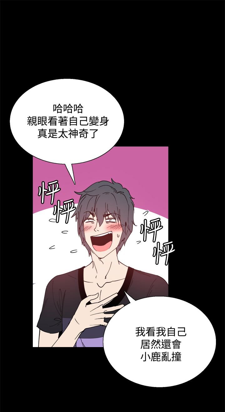 第13章：识破