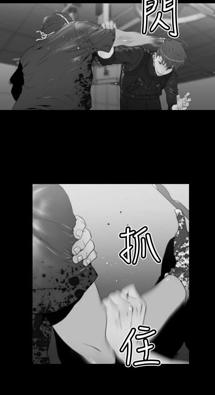 第19章：诱饵
