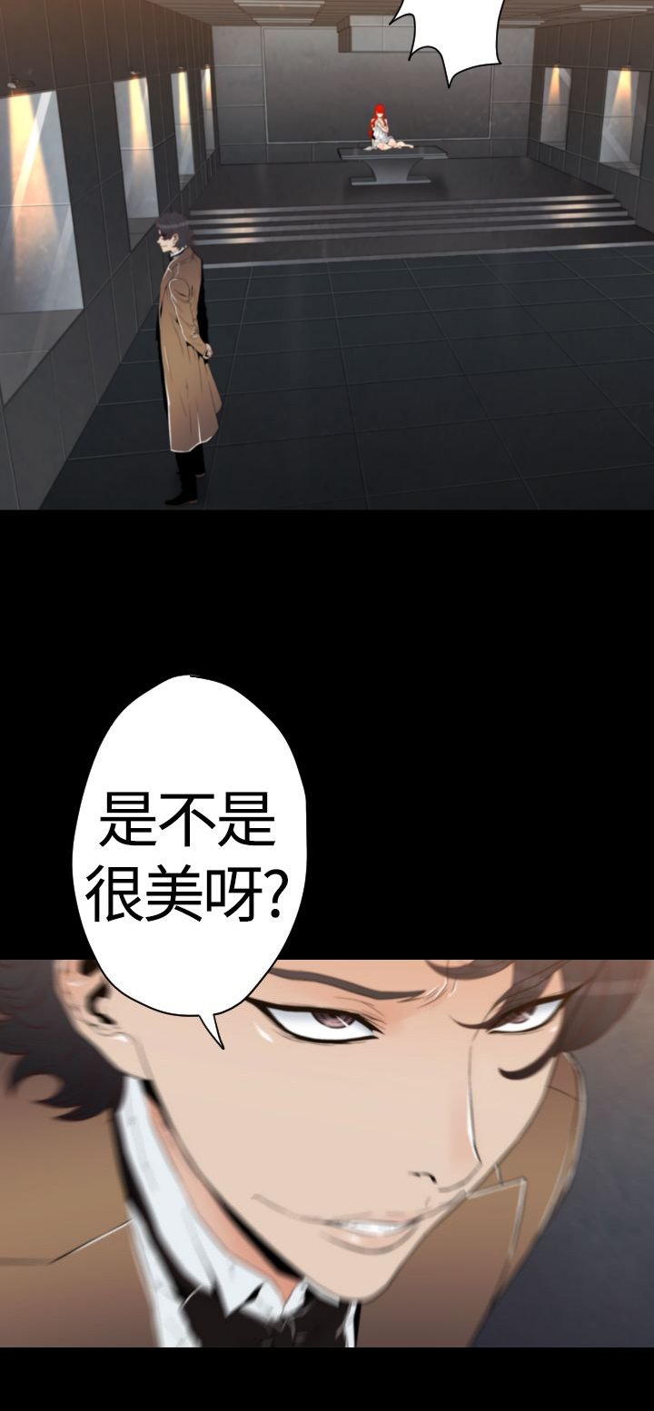 第20章：生命树的完成