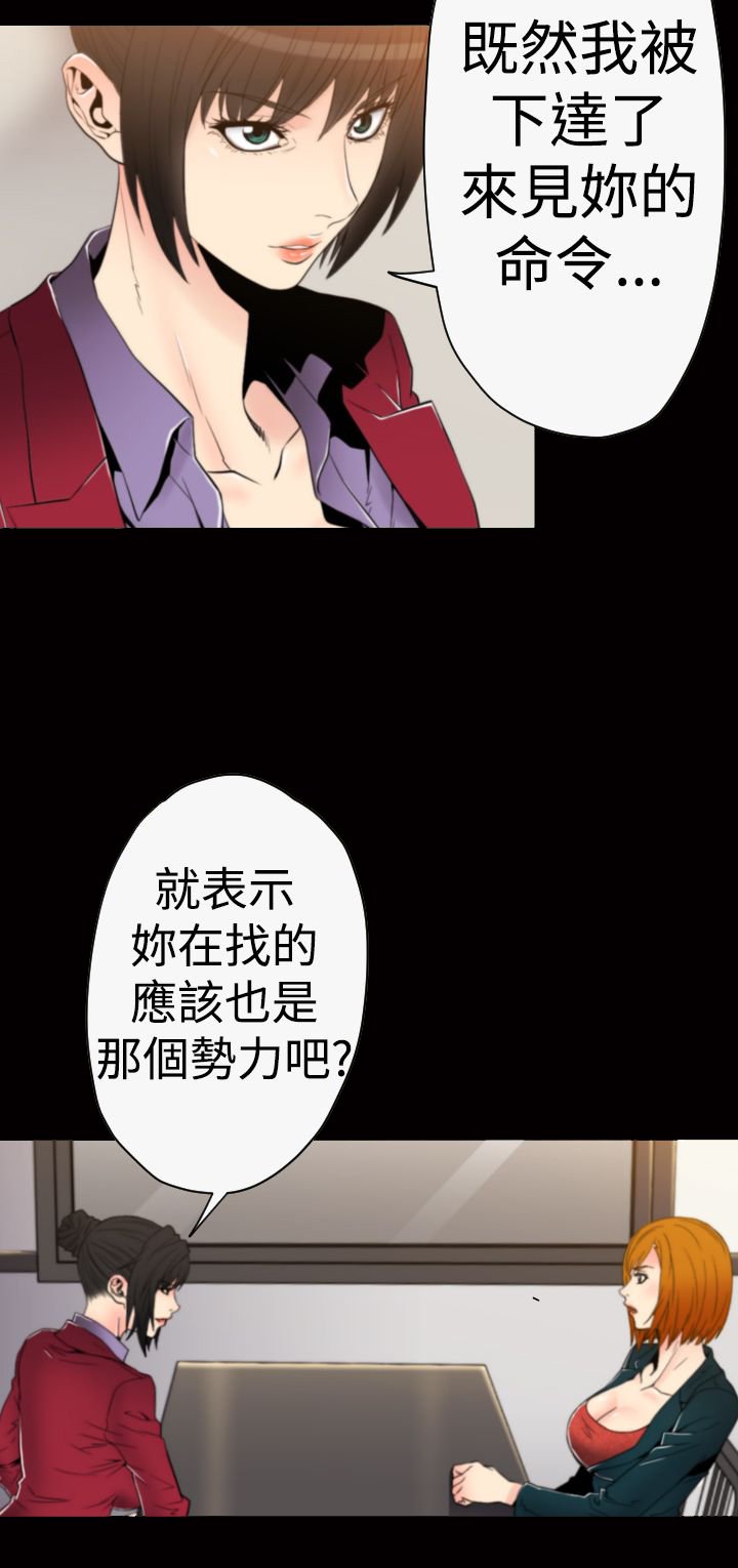 第28章：光明会