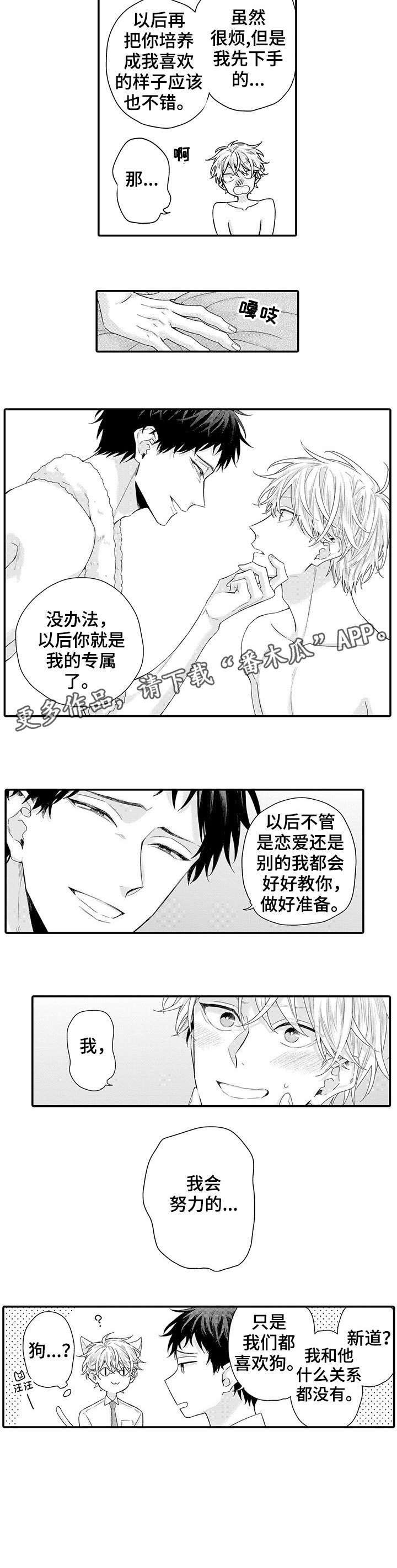 第6章：该死的