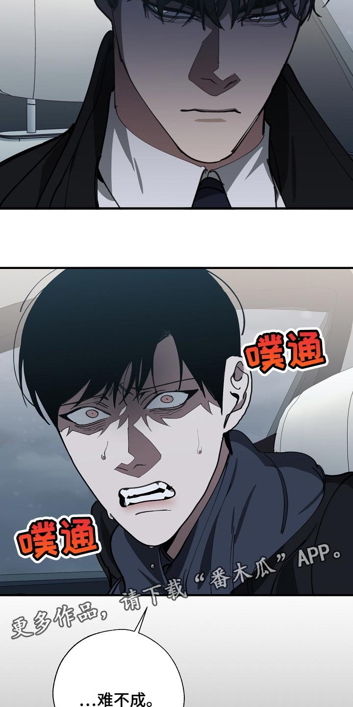 第110章：难不成是你弄的