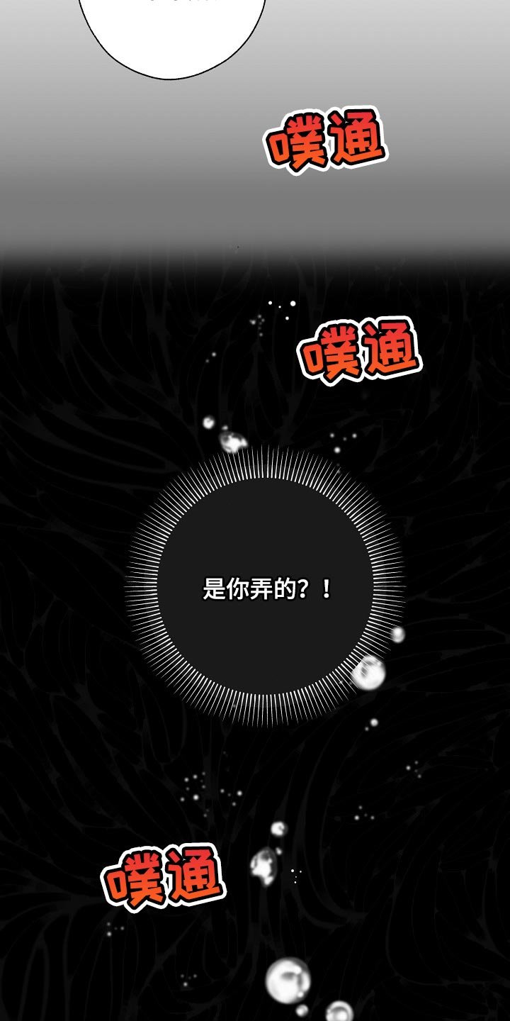 第110章：难不成是你弄的