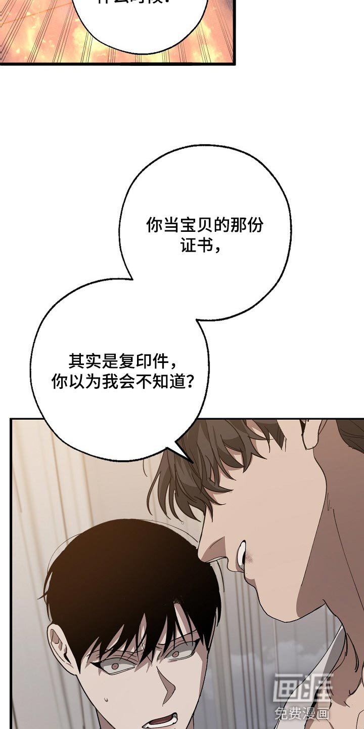 第119章：复印件