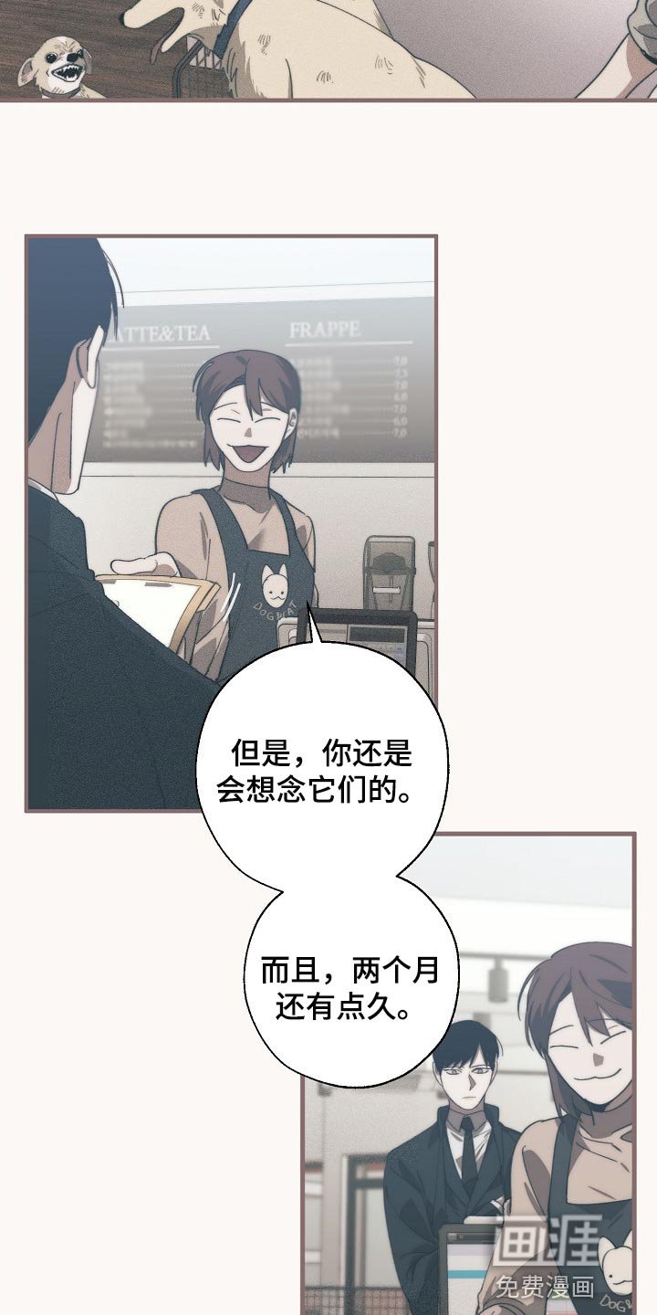 第120章：干脆杀了我不就好了