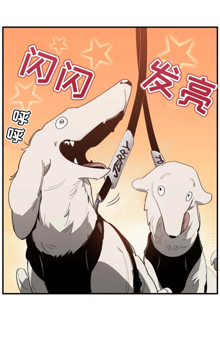 第152章：拍广告