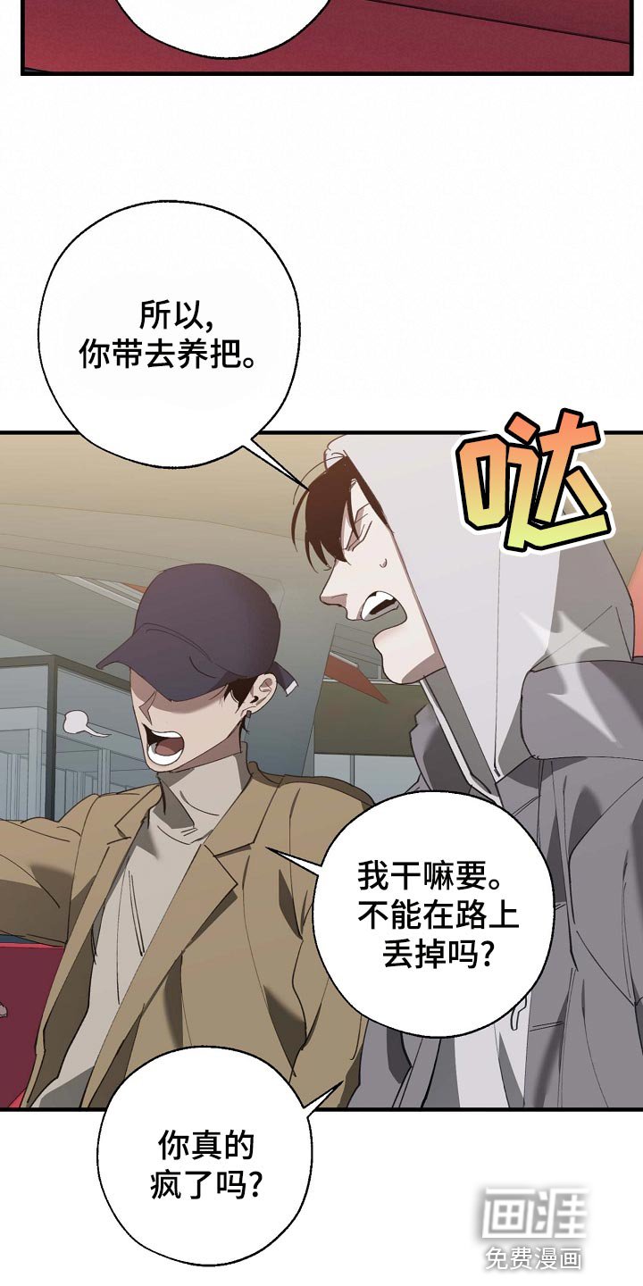 第152章：拍广告