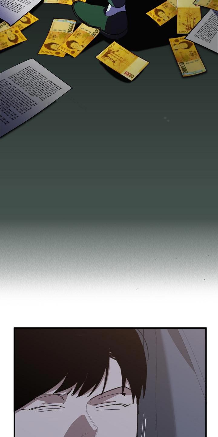 第164章：干涉投票