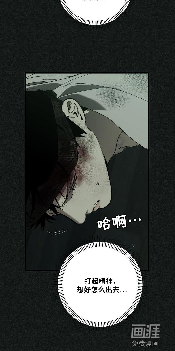 第182章：你醒了