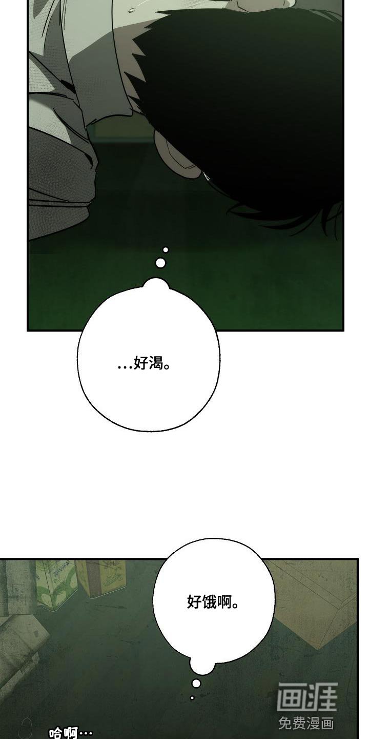 第185章：为什么现在才来！