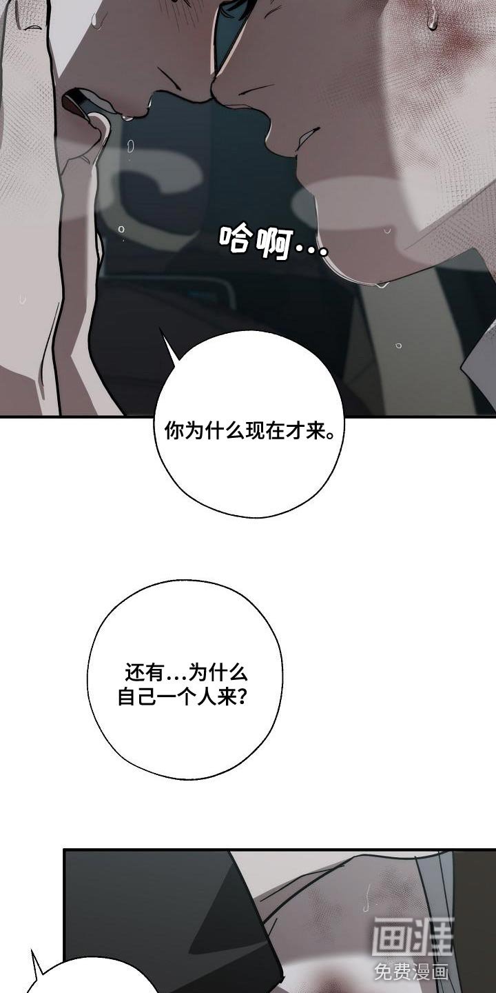 第186章：以防万一