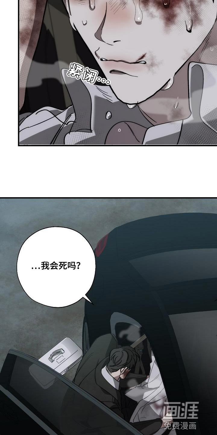 第186章：以防万一