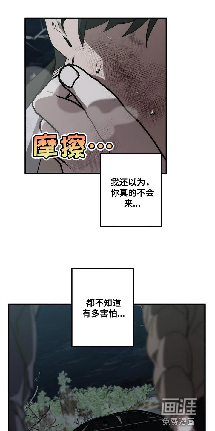 第186章：以防万一