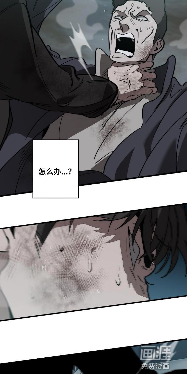 第186章：以防万一