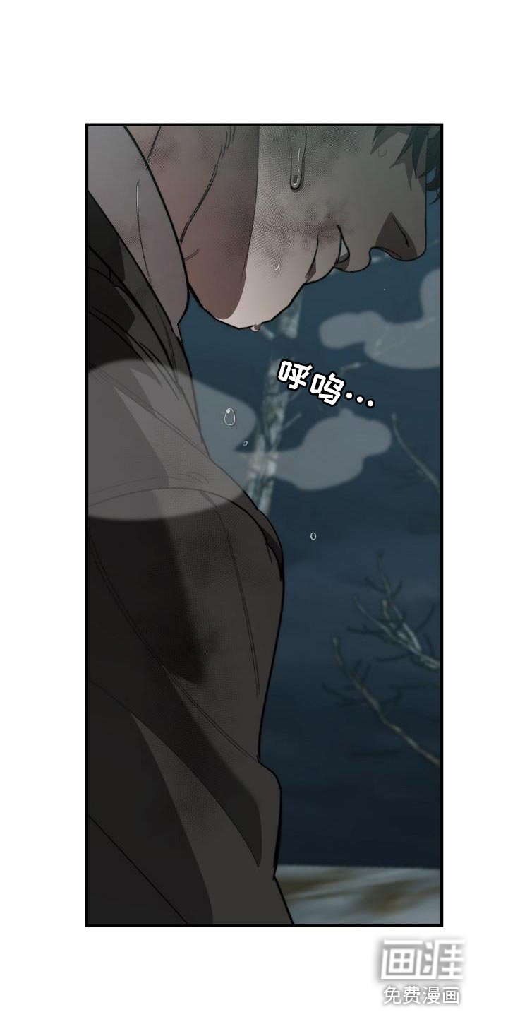 第186章：以防万一